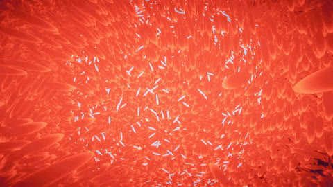 Boids simulation
